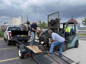 iron dog status being installed on museum campus 