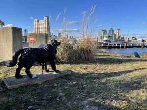 iron dog statue facing water 