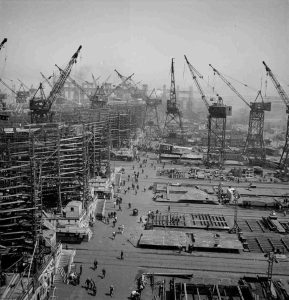 Over a dozen large cranes tower above the busy shipyard.